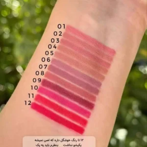 پک ۱۲ رنگ خط لب شمعی دراگون – همه رنگ‌ ها، یک پک!